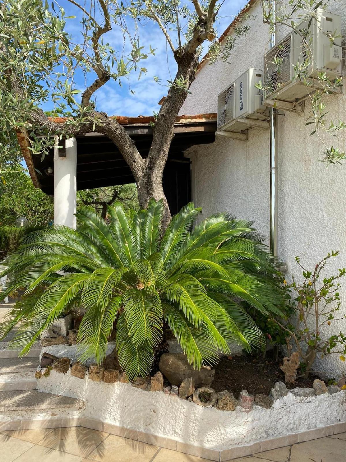 Domo Angheleda - Alghero Casa Indipendente Vicino Al Mare Exterior foto