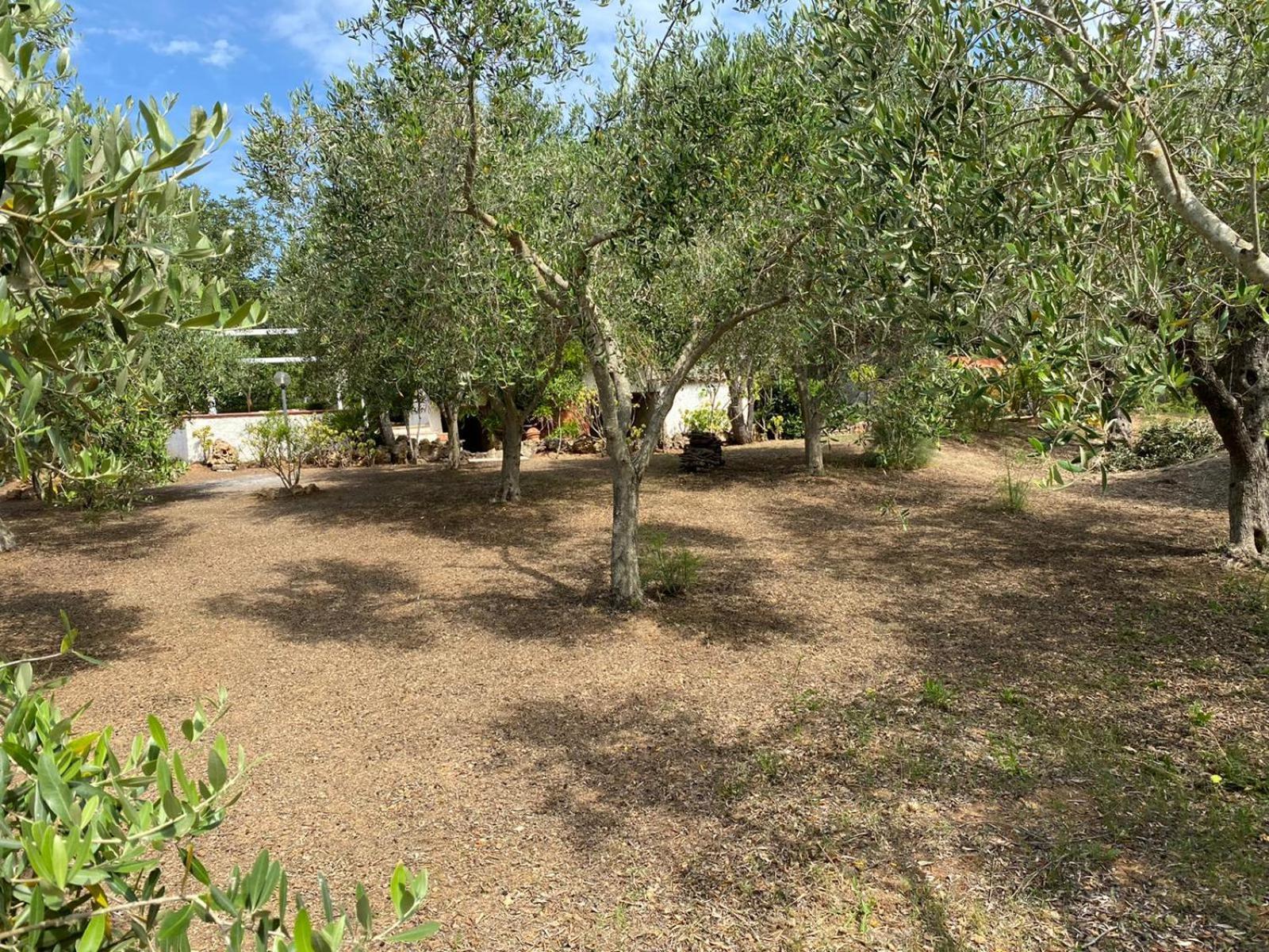 Domo Angheleda - Alghero Casa Indipendente Vicino Al Mare Exterior foto